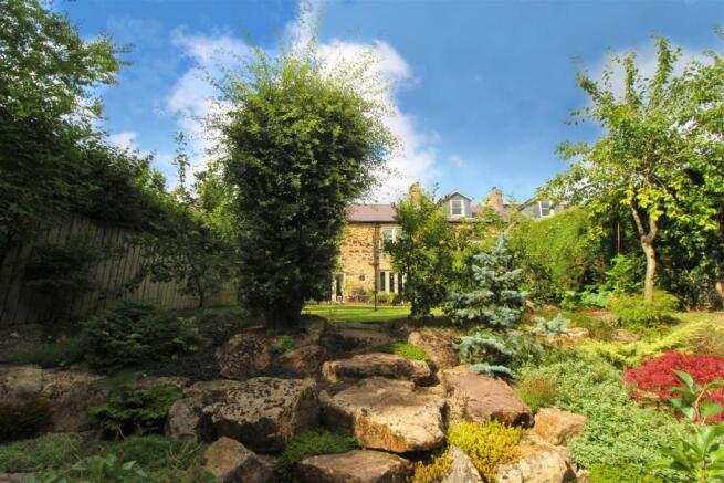 garden new 2.jpg