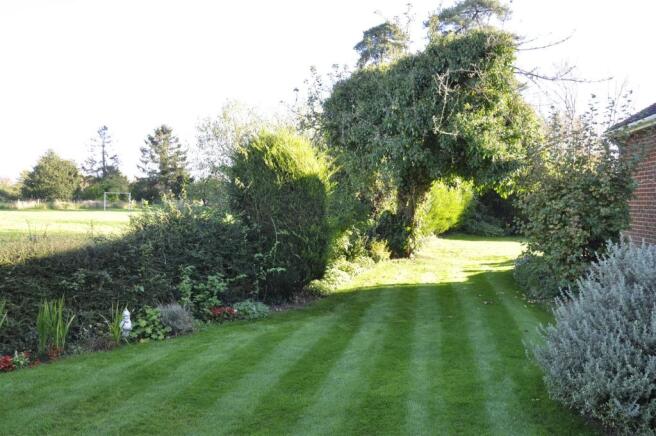 Garden.JPG