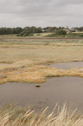 307330 - Seagulls, Walberswick-6.jpg