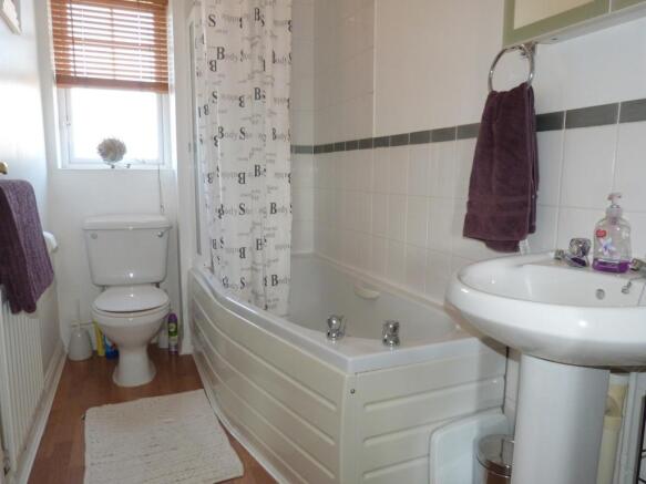 Picture 7