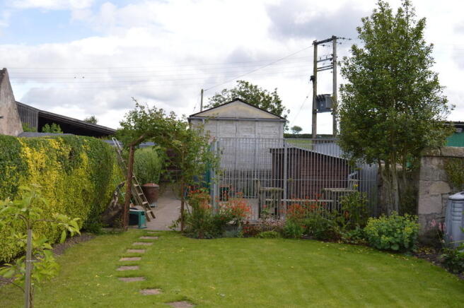 Photo 25