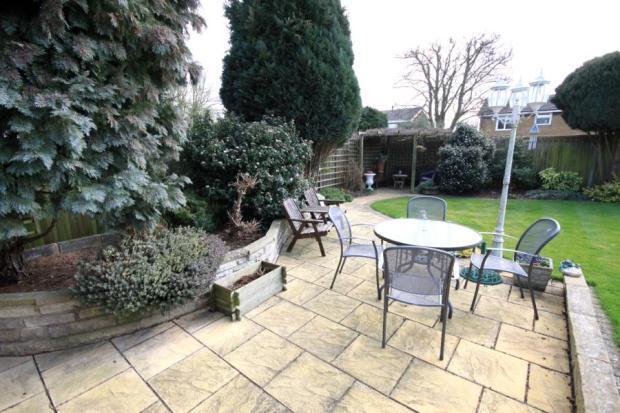 Patio Area