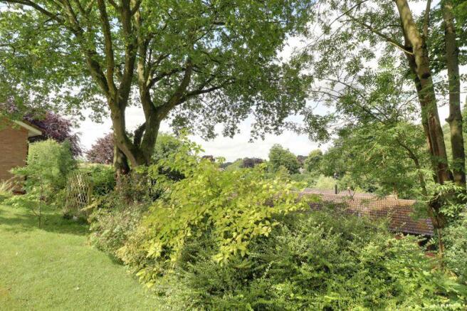 Garden Area