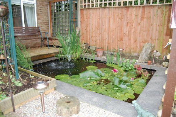 Photo 15