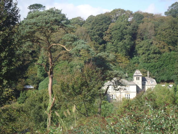 Photo 12
