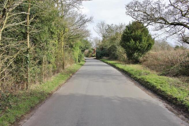 Country Lane 2.JPG