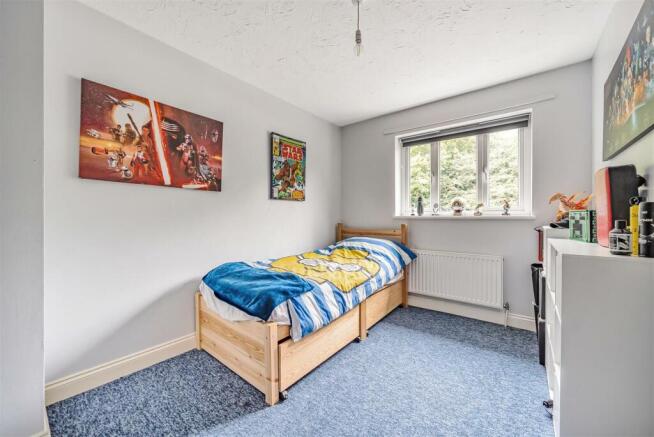 1024795 (15).jpg