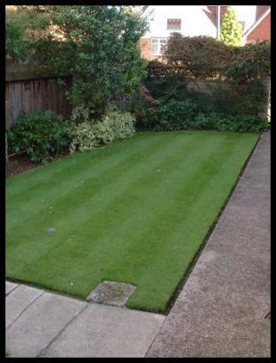 Rear garden