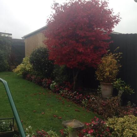 Photo 15