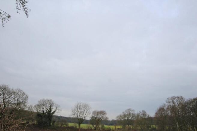 IMG_9258_lzn.jpg