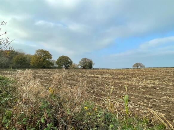 Surrounding Field
