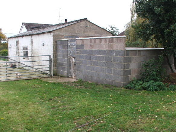 Dog Compound