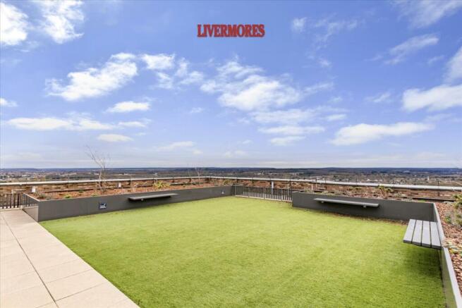Communal Roof Terrace