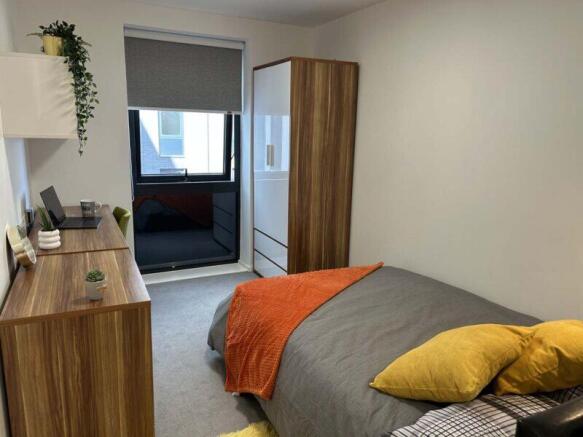 IMG 1254-1-800x600 T202602030856.jpg