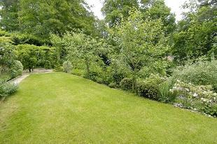 One of the gardens