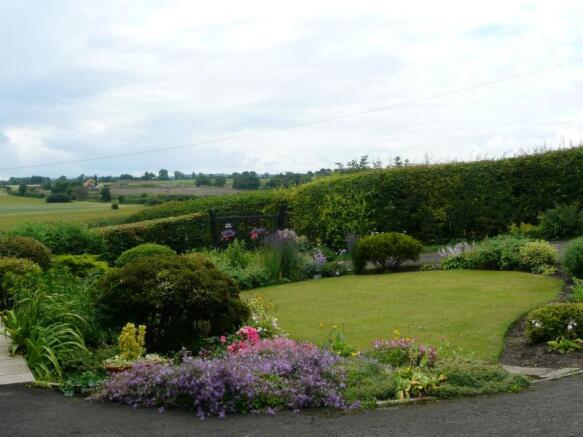 Image 10