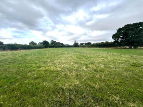 IMG-20250716-WA0006 brightened.jpg