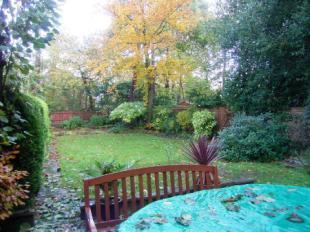 Garden1