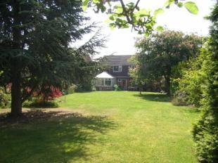 Rear Of Property