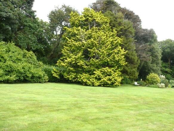 Grounds