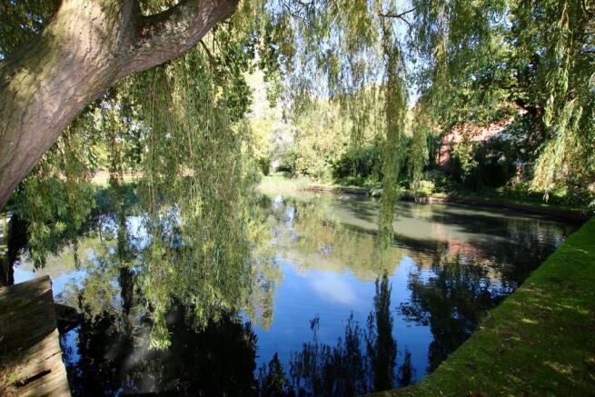 New pond