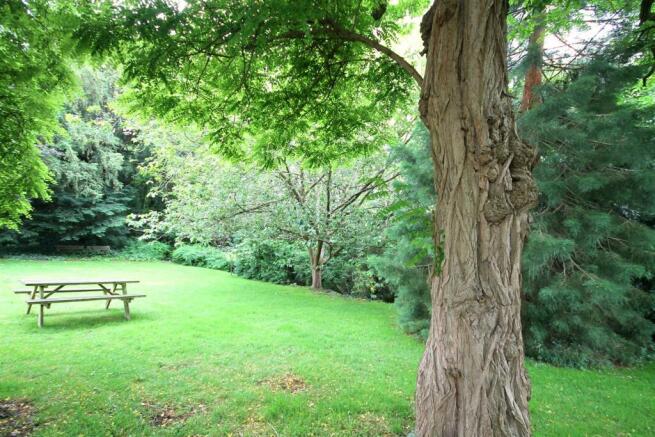 Communal Garden 2.JPG