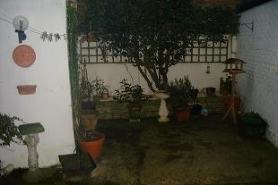 Patio Garden