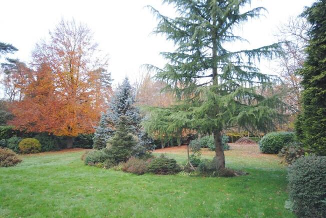 Photo 15