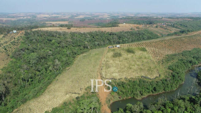 60 Ha Agricultural Land For Sale - Ou Reang District, Mondulkiri Province