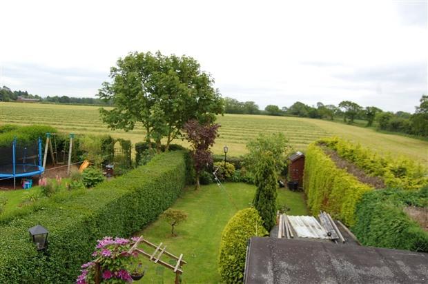 garden 4
