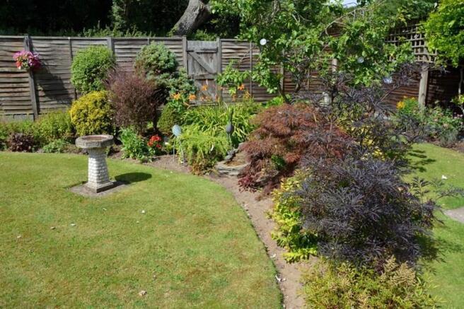 Photo 8