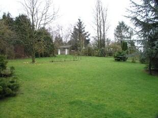 Garden 2
