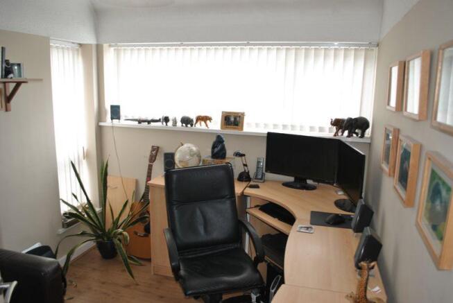 Study