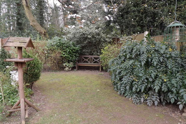 Photo 13