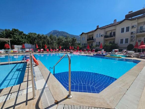 Large Pool
