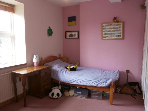 Image 15