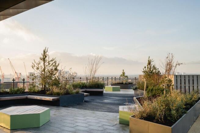 Rooftop