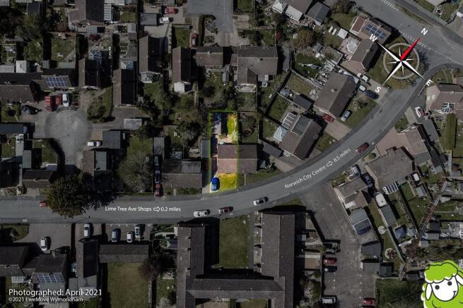 Plot View