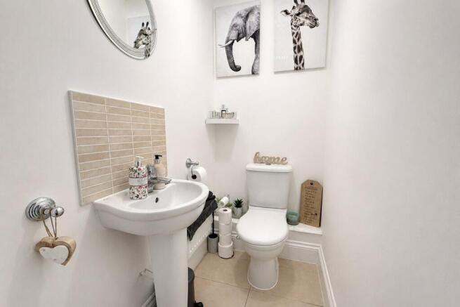 Picture 7
