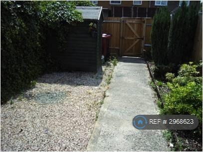 Back Garden
