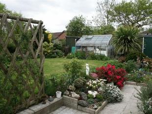 Photo 11