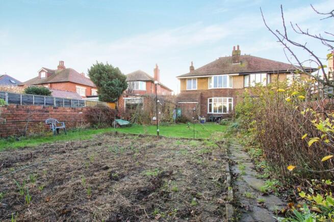 Vegetable Patch