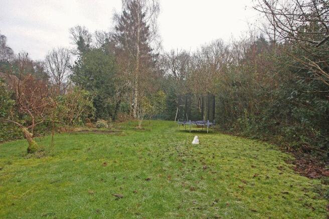 Garden - Winte...