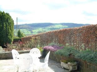 Garden 2
