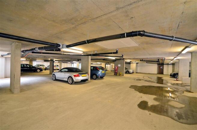 Driveway/Parking