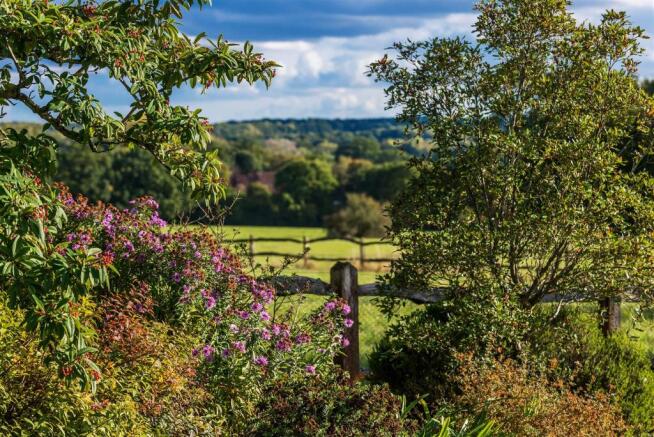 house. estate agent Rudgwick view