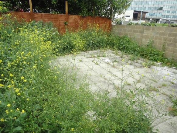 Rear Plot