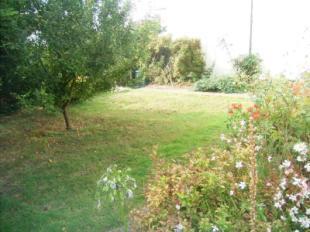 Communal Garden