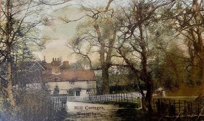 Mill Cottages 1911.jpg