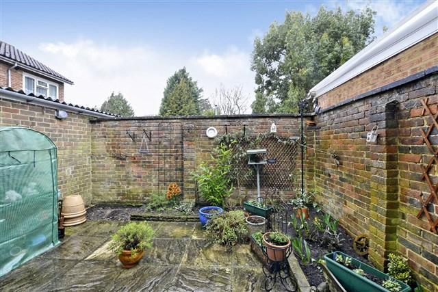 Rear Courtyard Garden